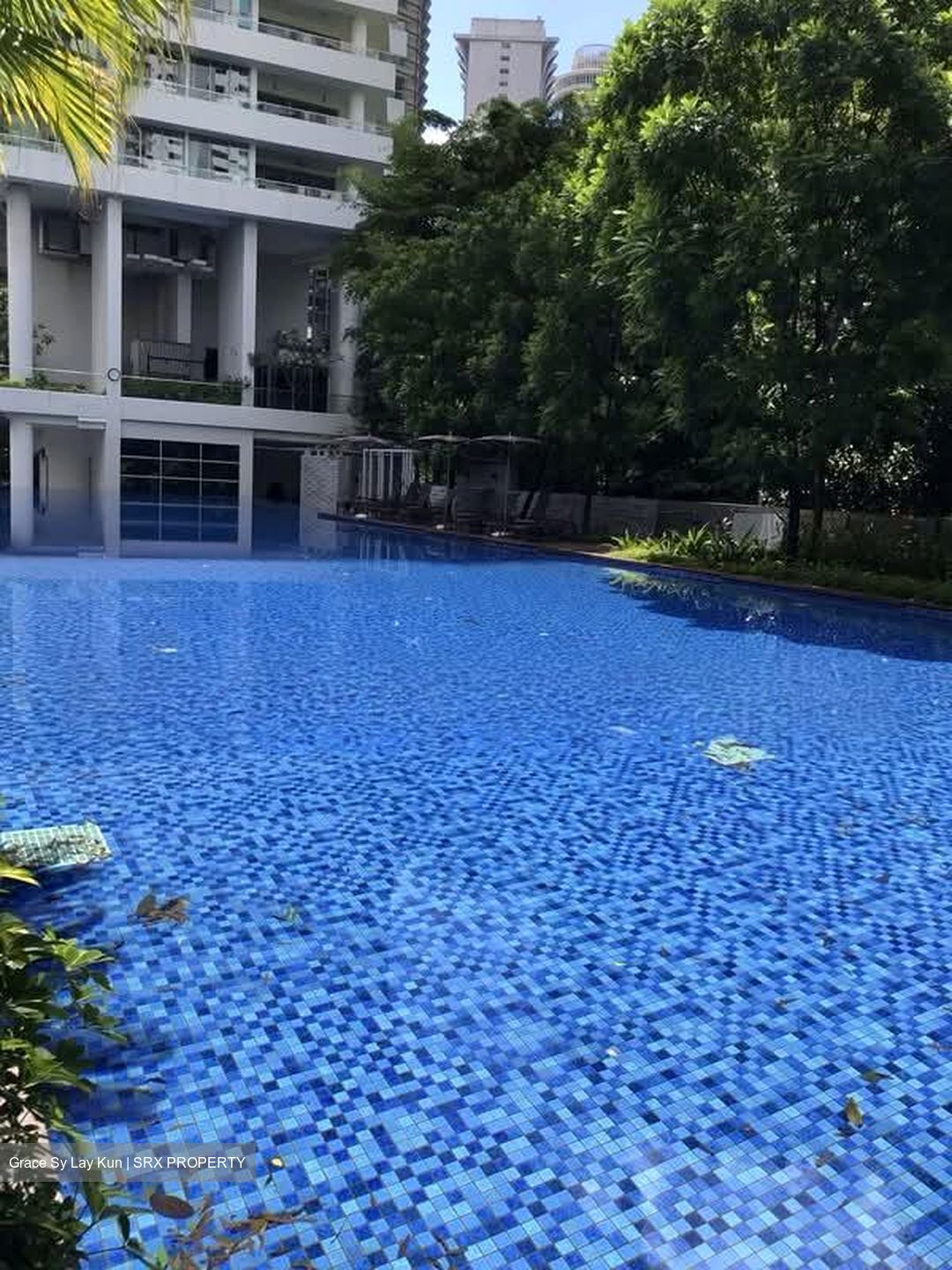 Grange Infinite (D9), Condominium #579164761
